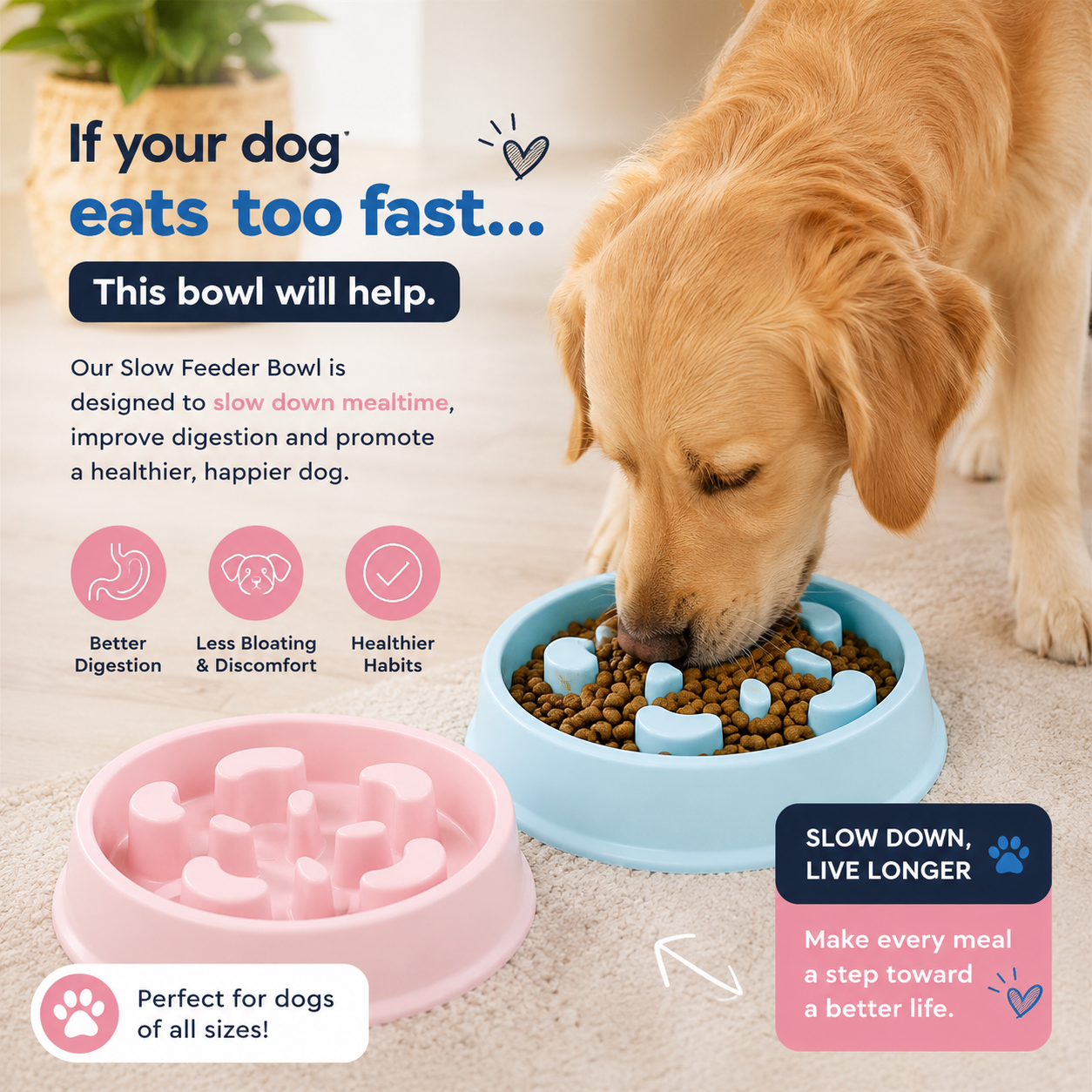 PetClaw™ Slow Feeder Bowl — Anti-Choking Puzzle Bowl for Dogs & Cats