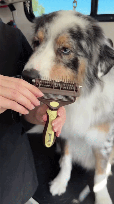 Pin Comb