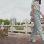 PetClaw™ Portable Pet Water Bottle