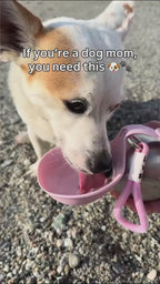 PetClaw™ Portable Pet Water Bottle
