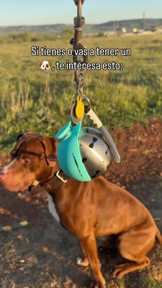 Built-In Bowl